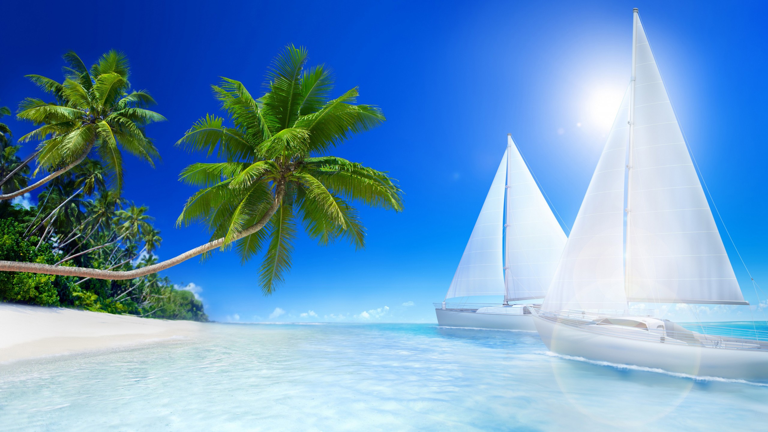 Обои пальмы, океан, тропический остров, palm trees, the ocean разрешение 2560x1440 Загрузить
