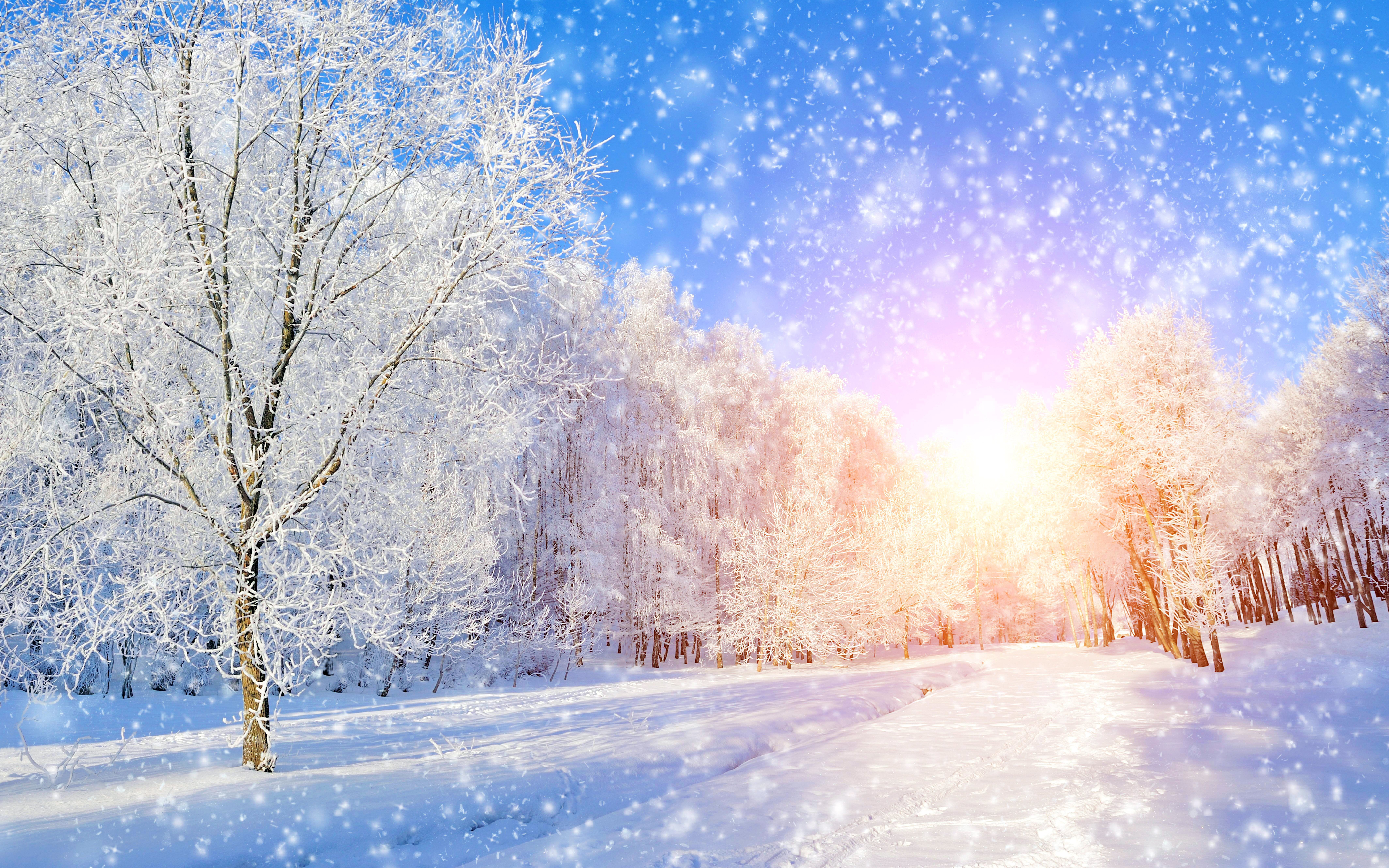 Красивая открытка со снегом. Зимний фон. Красивый зимний фон. Зима солнце. Снежная зима.