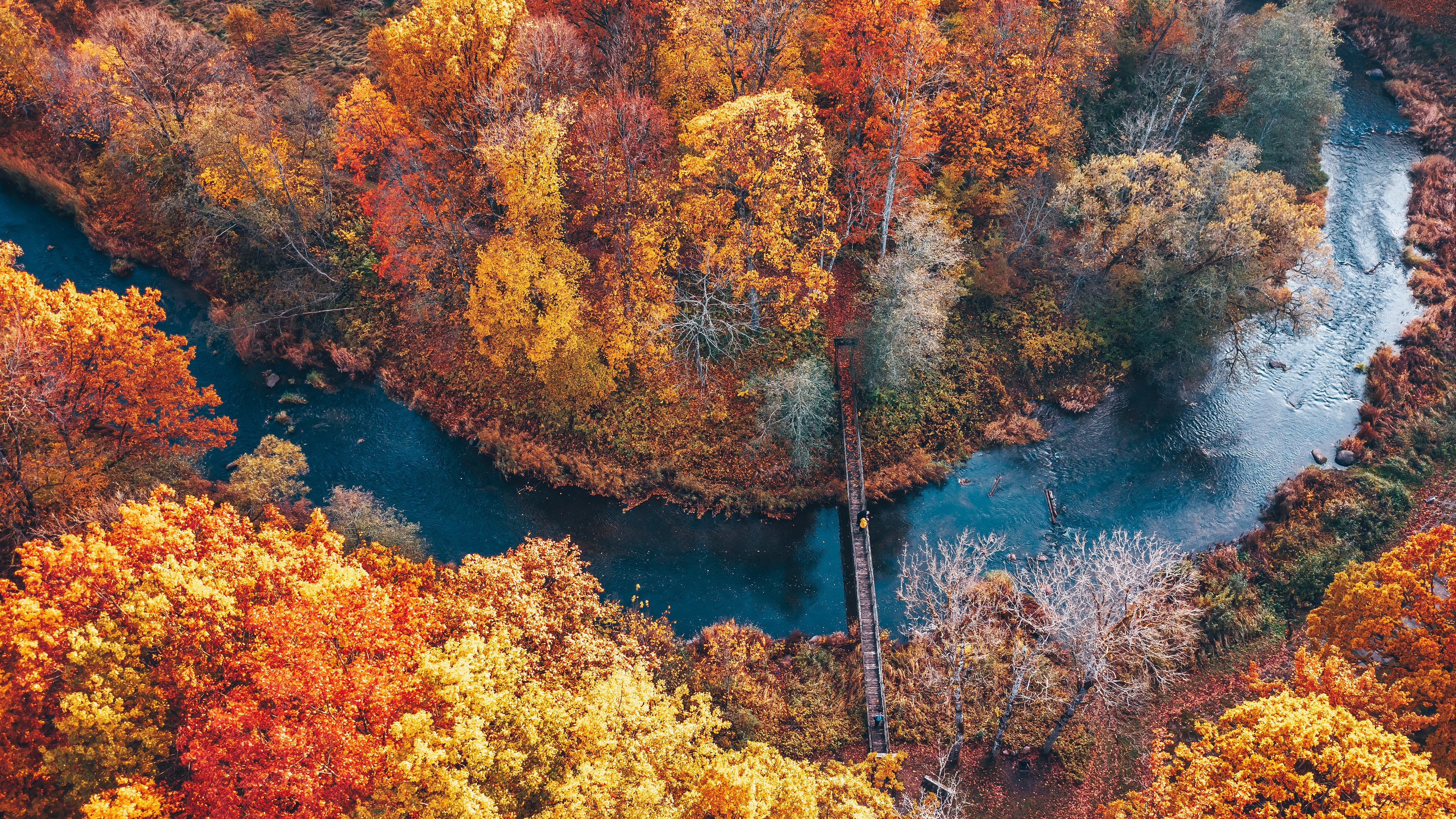 Обои река, парк, осень, river, park, autumn разрешение 3840x2160 Загрузить