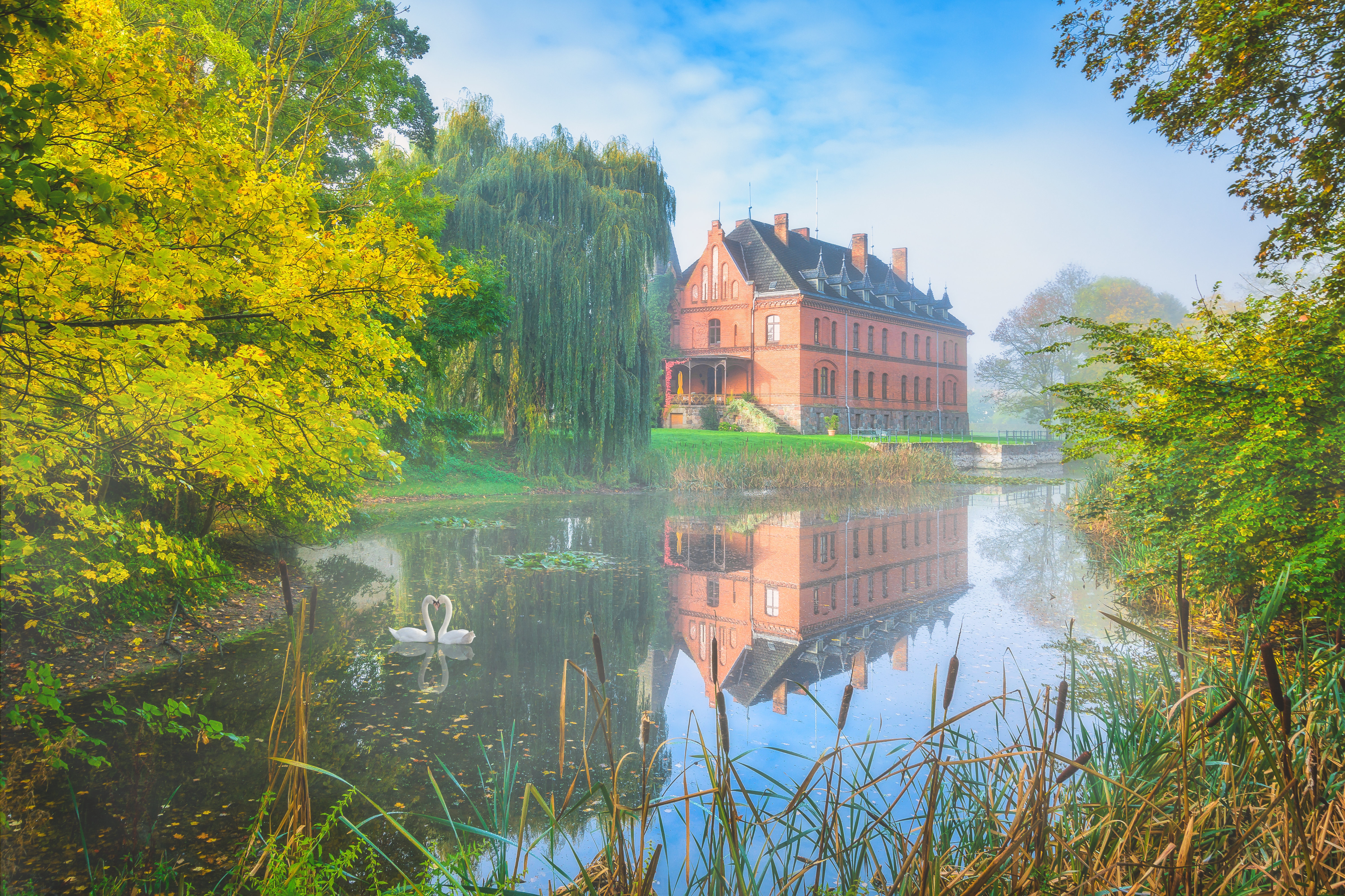 Обои туман, осень, дом, пруд, лебеди, fog, autumn, house, pond, swans разрешение 6000x4000 Загрузить