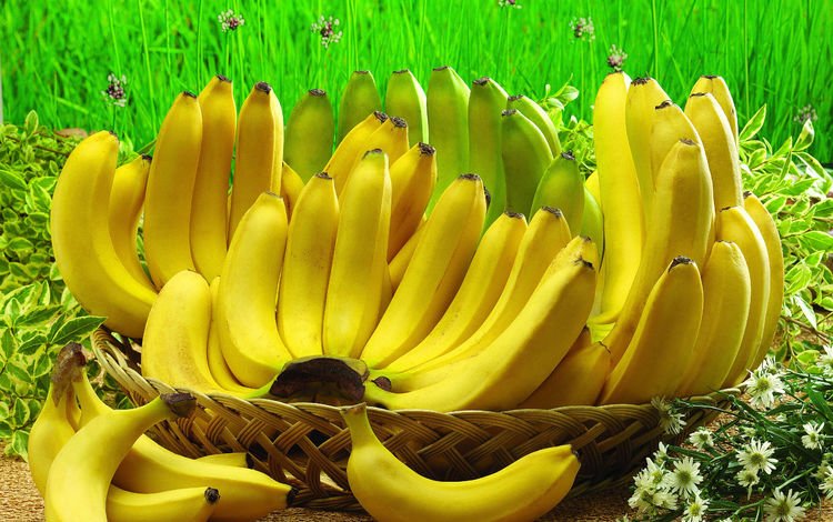 Цлс банан обои