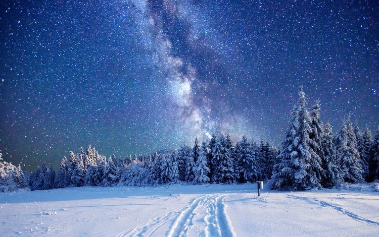 Звезды Зимой Фото