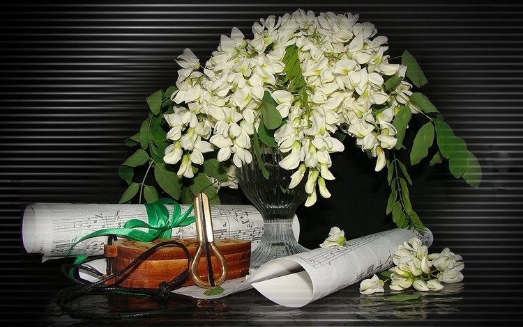 Цветы - фото обои для рабочего стола, картинки с цветами